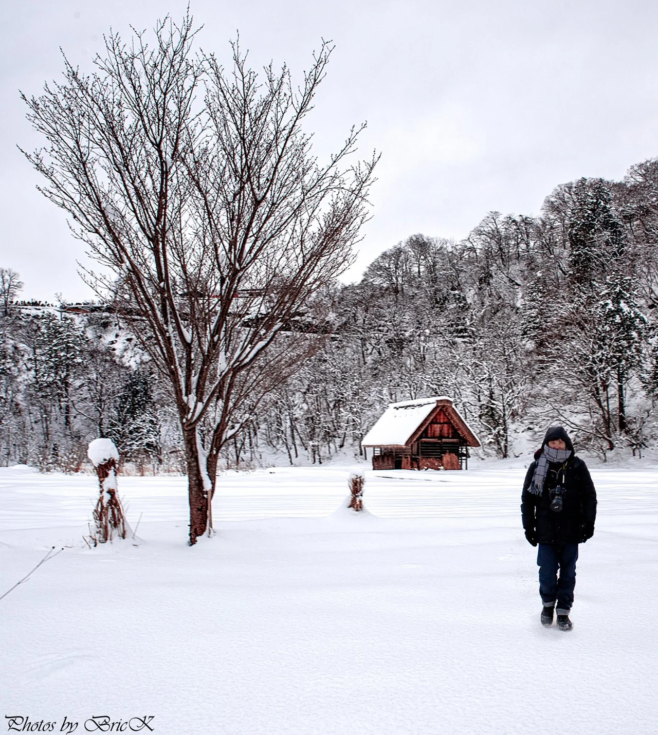 A snowy village with bare trees and a dark figure walking through it.